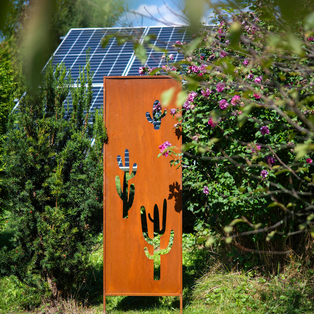 Panel ogrodowy Corten - Parawan z kaktusami - 160 x 50 cm