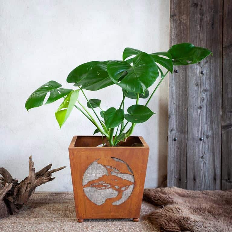 Rustykalna Doniczka na Bonsai - Duża Donica w Stylu Rdzy - Kapaga