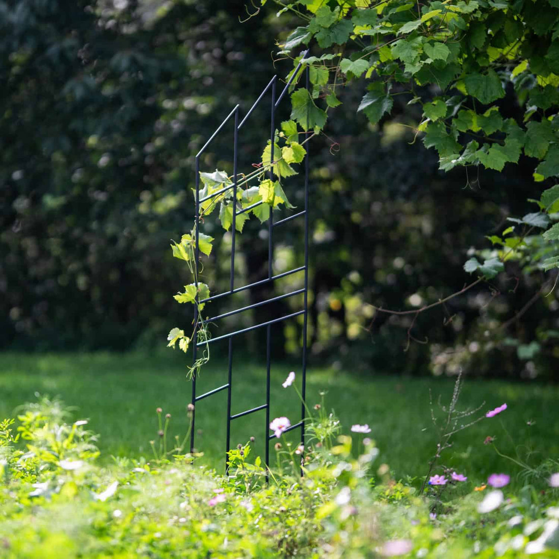 Pergola Ogrodowa Krata 200 cm - Metalowa Podpora do Pnączy i Krzewów - zdjęcie 3 - Kapaga