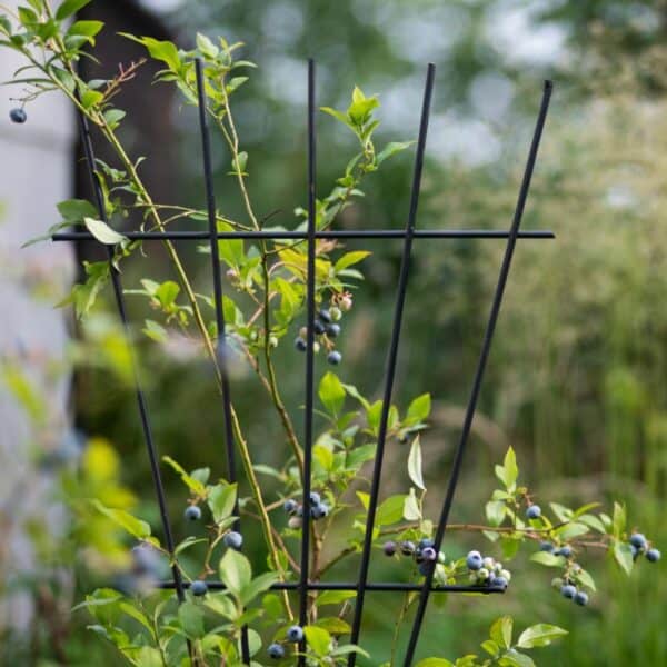 Metalowa podpora kratka 100 cm idealna dla pnączy kwiatów hortensji pomidorów - zdjęcie 2 - Kapaga