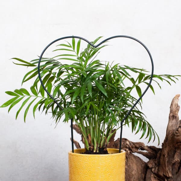 Ozdobna Podpora Serce do Kwiatów i Krzewów Pnących - Stabilne Wsparcie - Kapaga