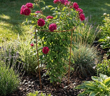 Zielona Podpora do Roślin 70 cm - Idealna do Pomidorów, Warzyw i Krzewów Pnących - zdjęcie 6 - Kapaga