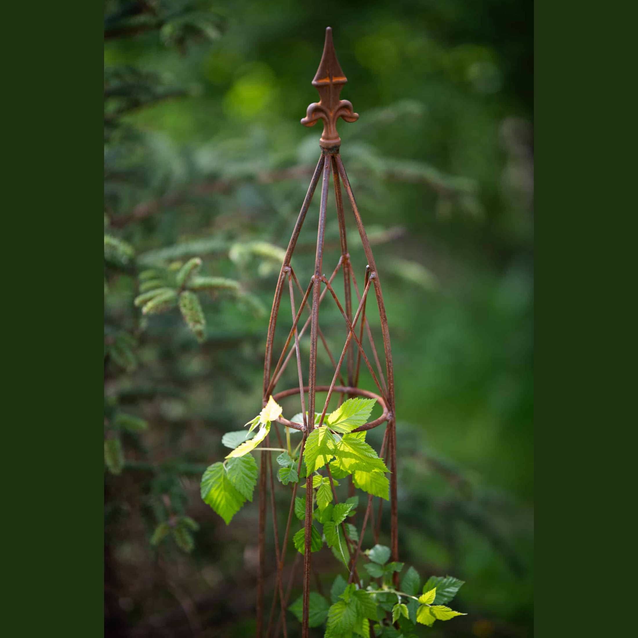 Metalowy Obelisk Piramida Pergola do Róż - Różne wysokości - zdjęcie 3 - Kapaga